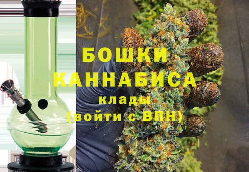 Конопля Ganja  Великий Устюг 